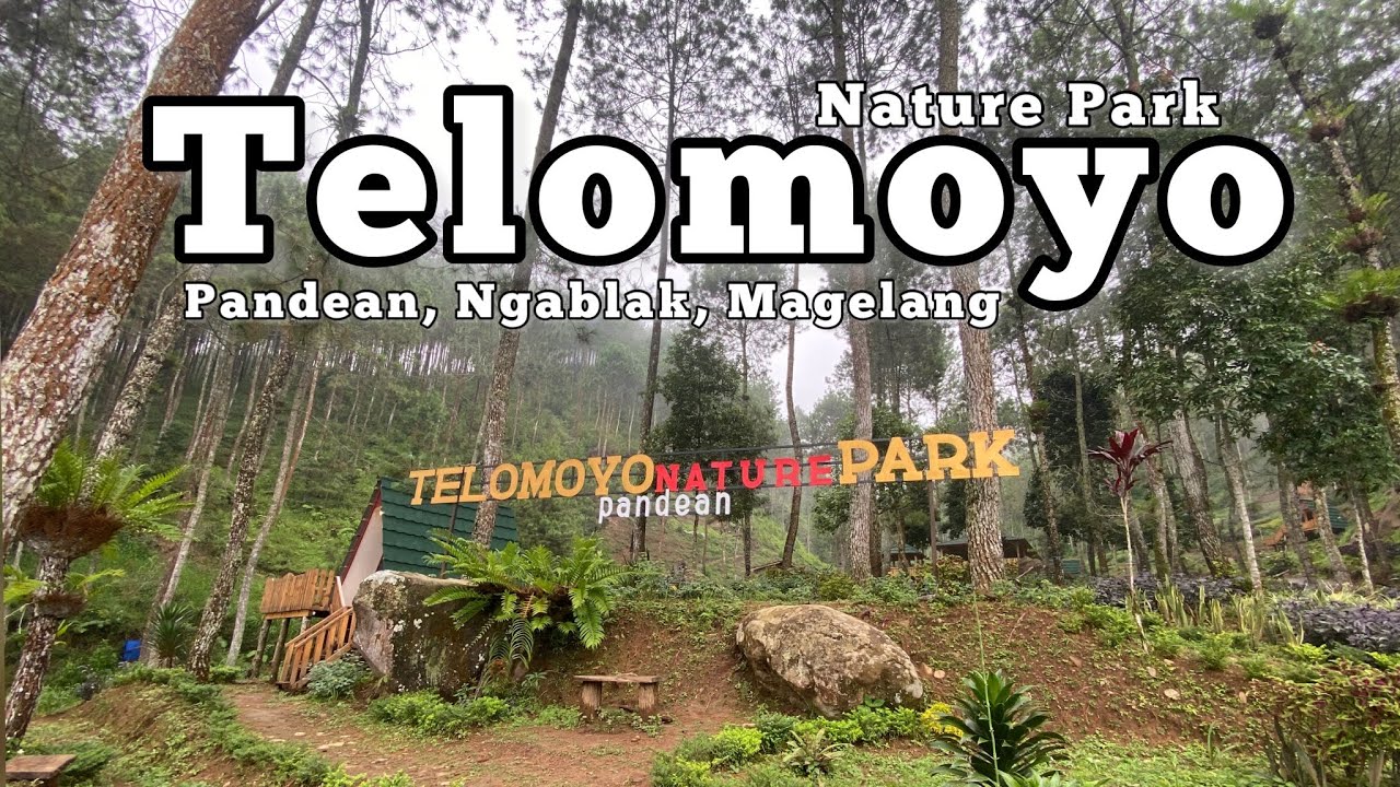 Telomoyo Nature Park: Destinasi Alam Menawan di Lereng Gunung Merapi